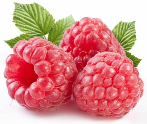 Raspberry Festival is coming August 10th 2019 to Mayfield and Fulton